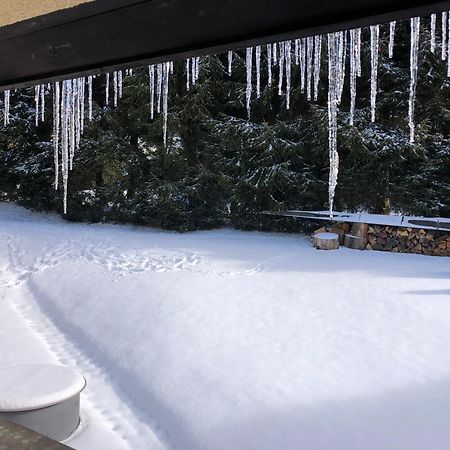 Apartman S Vyhledem Na Jezerni Stenu Železná Ruda Dış mekan fotoğraf
