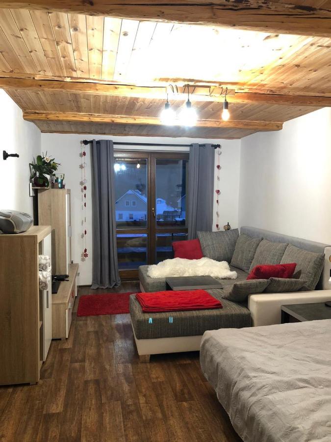 Apartman S Vyhledem Na Jezerni Stenu Železná Ruda Dış mekan fotoğraf