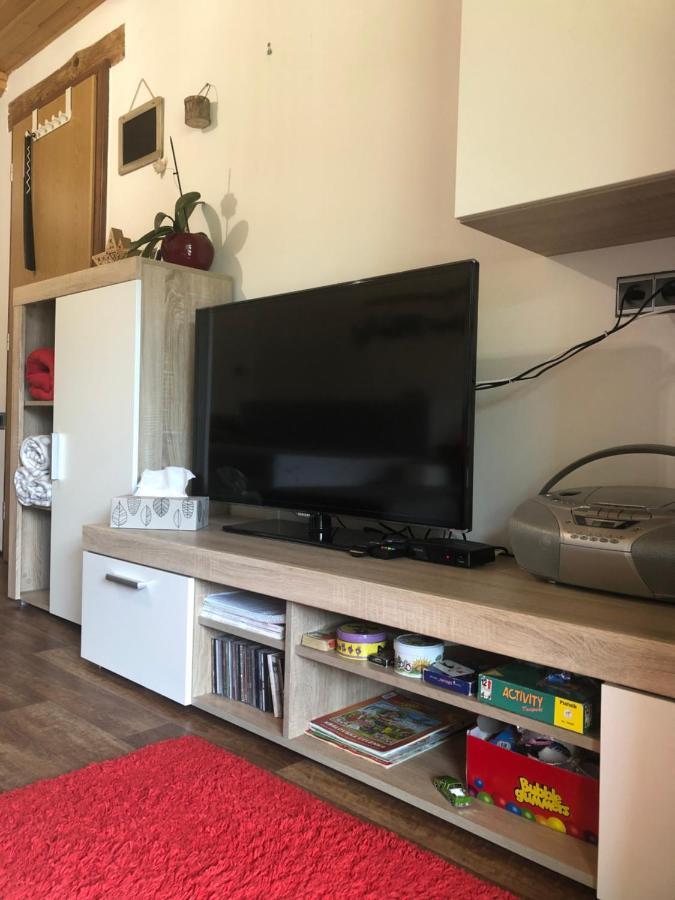 Apartman S Vyhledem Na Jezerni Stenu Železná Ruda Dış mekan fotoğraf