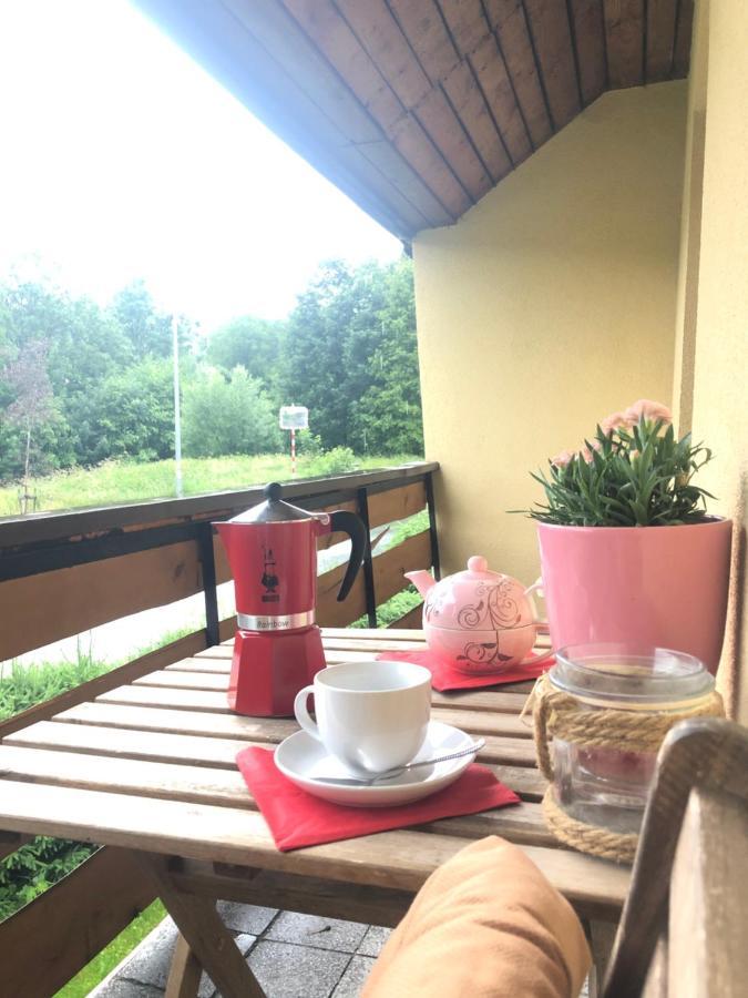 Apartman S Vyhledem Na Jezerni Stenu Železná Ruda Dış mekan fotoğraf