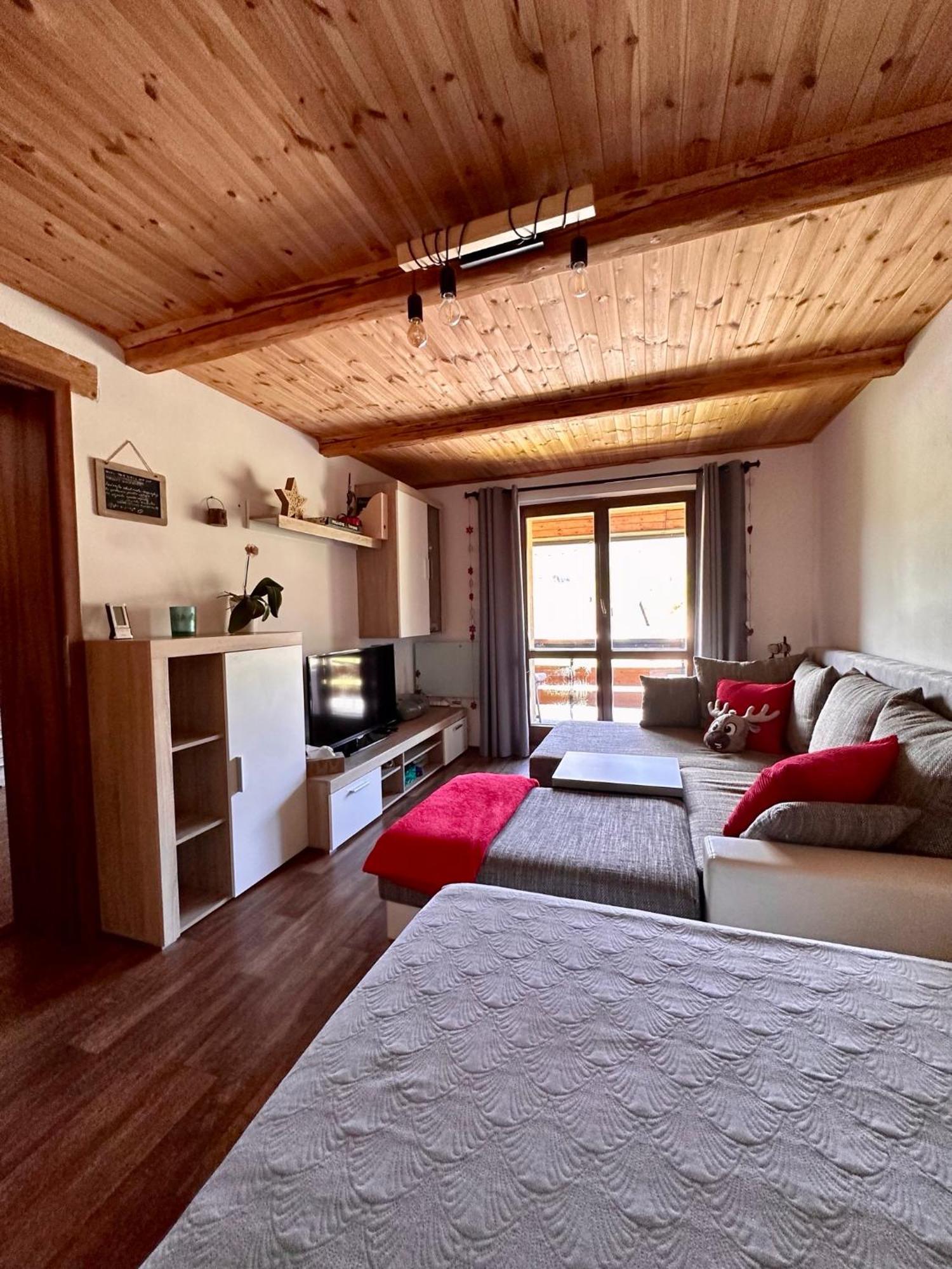 Apartman S Vyhledem Na Jezerni Stenu Železná Ruda Dış mekan fotoğraf